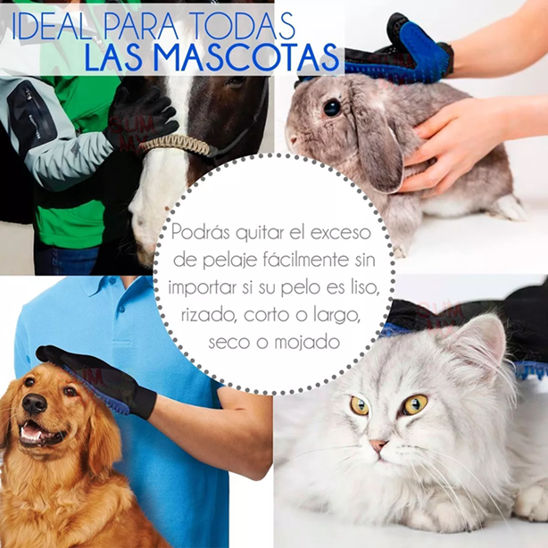 Guante de aseo para mascotas EasyGroom