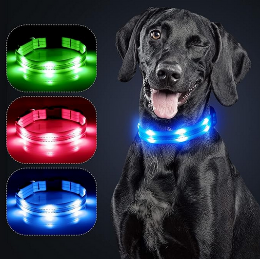 Correa Para Perros Reflectante Lumidog™